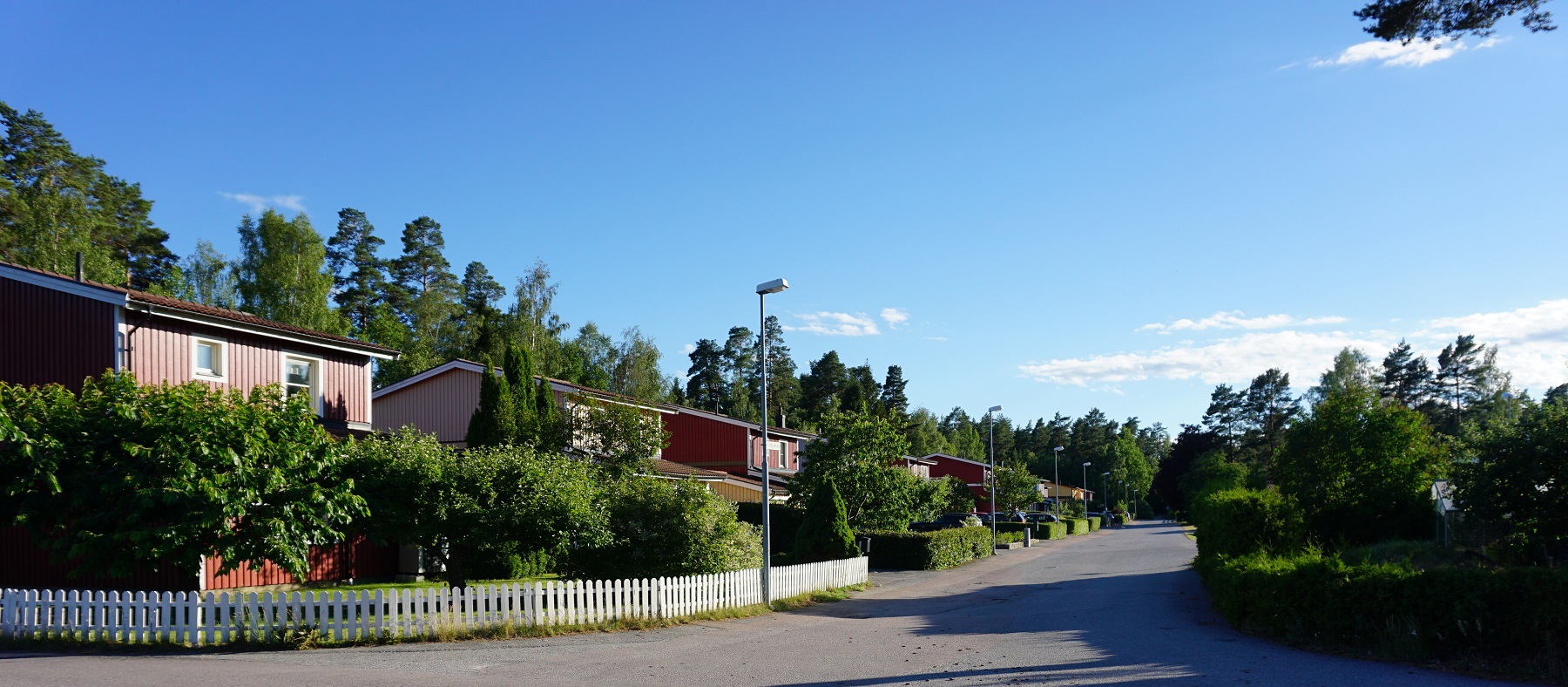 Bild på del av brynhild